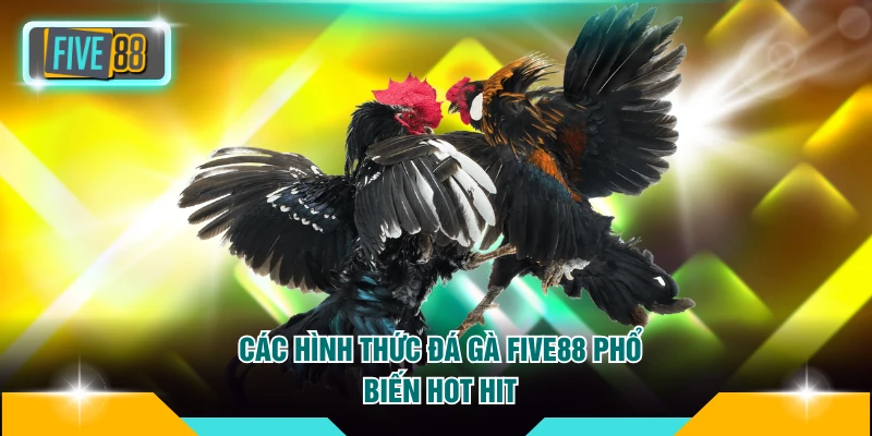 Đá gà FIVE88 2 Các hình thức đá gà FIVE88 phổ biến hot hit