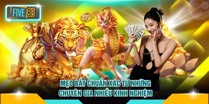 3 Cách Bắt Cầu Rồng Hổ FIVE88 Thành Công Từ Lần Đầu 3 Mẹo bắt chuẩn xác từ những chuyên gia nhiều kinh nghiệm
