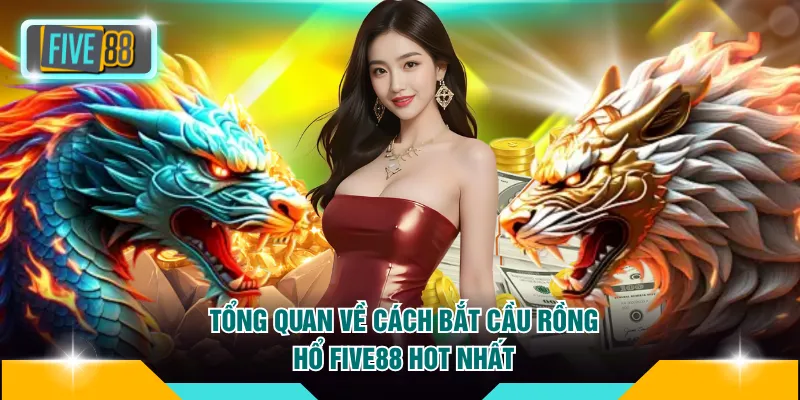 3 Cách Bắt Cầu Rồng Hổ FIVE88 Thành Công Từ Lần Đầu 2 Tổng quan về cách bắt cầu Rồng Hổ FIVE88 hot nhất